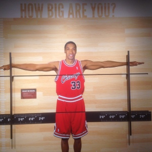 The inside bars measure my wing span against Chicago Bulls Scottie Pippen.